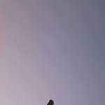 [모두드루와] 팬덤 조사하자 본진 짤올리고 가봐