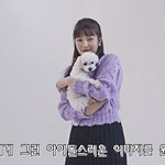 역시 <b>뚱보</b>라니까^^