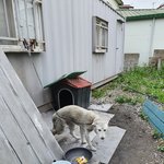 혹시 도움줄수있는 방법있나요?