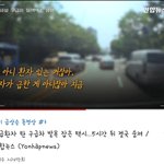 너네 이거 봤어??