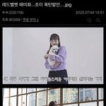 레드벨벳 <b>페미</b>화 조이 <b>페미</b>