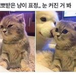 왕 <b>뷰러</b> ㄹㅇ잘됨