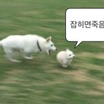 이런 거 어<b>캐</b>함??