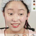 이런 블러셔 있니...?