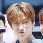<b>지송</b>이 보고싶다ㅠㅠ