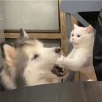 얘들아 제니 휘파람 <b>무대때</b>