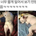 [댓글부탁해] 교사가 <b>장래</b>희망인데