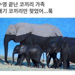 [드루와] 열등한 부모가 애낳으면 나처럼 된단다