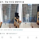 추반 좀 해줘 제발
