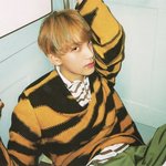 <b>앙큼</b>해차니