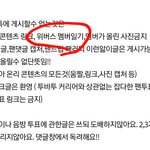 [TXT모아] 모아톡 규칙 '변경알림'