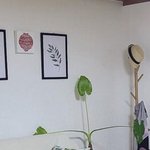 선물받은 <b>식물</b>이 이상하게 자라는데