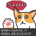 [댓글부탁해] 뜬금없는데 <b>민아</b>라는 이름 예쁘다