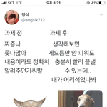 내 주변엔 내 본진 좋아하는 사람 나뿐이었음좋겠어