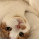 [댓글부탁해] 공부할 수 있게 도와줘 ㅠㅠㅠ