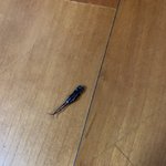 [EXO] 얘들아 나 지금 너무 무서움...