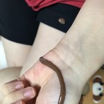 신발 _됐어!! 초<b>코피</b> 흐른다!!!!!!!