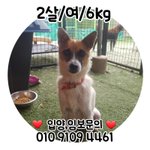 [강아지] <b>어미</b>와 4자매