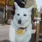 [ㅈㄱㄴ] 씌버 <b>랜챗</b> 개웃기네