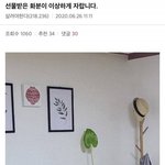 [드루와] 선물받은 <b>화분</b>이 이상하게 자랍니다.jpg