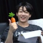 전정국 당근 홍보<b>대사</b>