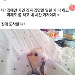 [드루와] 나 다이어트 중인데 <b>몇키</b>로 같냐