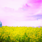 너네 다섯 번째 계절 알아?