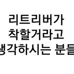 [강아지] 리트리버가 착할거라고 생각하는 분..