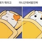 내돈내산 존좋템들 추천해줄게!! 쿨톤은 꼭 들어와