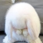 여기서 가정사 말하는 애들 있냐?