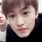 [NCT] ㅅㄷ 진짜 <b>아무것</b>도 하기싫을때