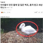 얘낸 <b>능지</b>가 동물이냐?