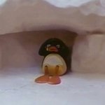 바순희도 <b>대중</b>이다