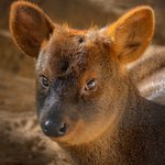 [NCT] ㅅㄷ) 애들아 4주년 <b>MD</b>