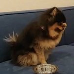 [댓글부탁해] 나 진짜로 순수했었는데 너무 타락한 것 같아