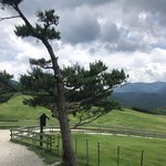 호텔방에 갑자기 <b>청소부</b>가 문열고 들어왔어요..