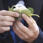 [NCT] 아 엔라 개귀엽내 ㅠㅠ