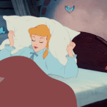 [드루와] 얘들아 얘 나 좋아하는 거임??