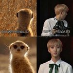 [펜타곤] 7월 7일 출석체크