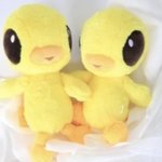 진짜 나 찐으로 촉좋은데 <b>질문</b> ㄲㄲ