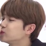 <b>이재현</b>
