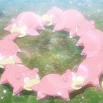 <b>명지</b>인들아
