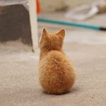 [드루와] 혹시 디자이너브랜드 잘 아는 사람??