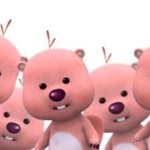 [드루와] 나 왜케 집중력 재기했지