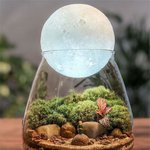 작은 유리병 <b>속</b>에 담은 <b>자연</b>