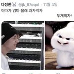 [방탄소년단] 아 장발꾹은 ㄹㅇ 말티라서 나 강경말티<b>판대</b>