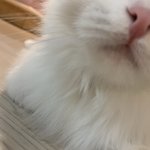 근데 너네 학교 몇시에 <b>끝남</b>?