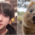 [방탄소년단] <b>TV</b> 동물넝장 ) 여름특집2탄 '613 마을에 모여사는'