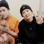 나 진짜 뜬금없이 엑소 <b>브이</b>앱 보고있었음