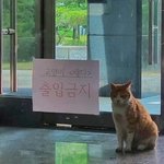 [댓글부탁해] 수능특강<수능<b>완성</b> 순인게 맞지?